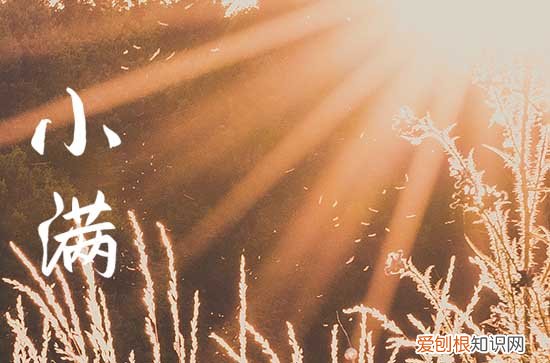 2023小满可以结婚吗 2023小满可不可以结婚