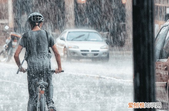 今天谷雨是什么时间几点几分2023