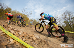 山地车什么牌子性价比高？