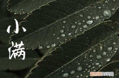 2023小满吃什么水果蔬菜2023小满吃哪些水果蔬菜