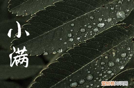 2023小满吃什么水果蔬菜2023小满吃哪些水果蔬菜