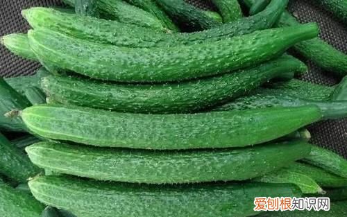 怎样保鲜黄瓜最好 做好的黄瓜怎么放冰箱保鲜