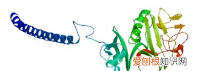 ang什么梗,angry是什么意思