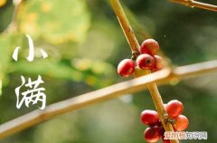 2023年小满结婚好吗 2023小满宜嫁娶吗