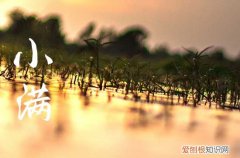 2023小满是几月几号几点几分 2023小满是哪天几点几分