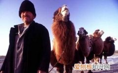 早穿皮袄午穿纱是哪个地区