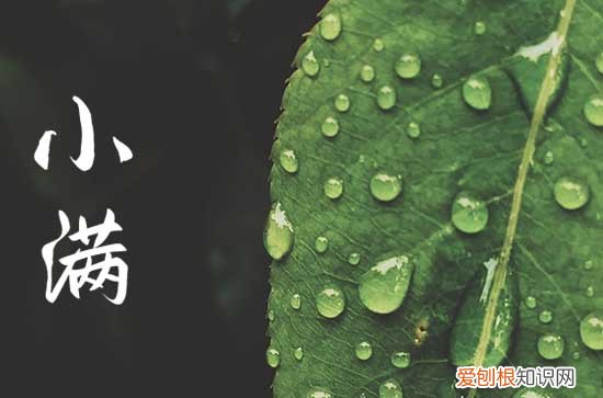 2023小满是哪一天几点 今年小满是几点几分