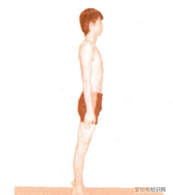 掌握平衡怎么做