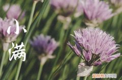 2023小满文案简短一句 关于小满节气的朋友圈说说