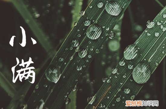 小满节气说说朋友圈句子 2023小满微信朋友圈说说文案简短