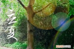 2023武汉夏天从早到晚热吗 武汉夏季最高气温多少度