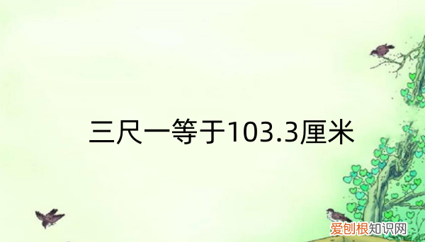 3尺是多少厘米,3尺3寸是多少厘米