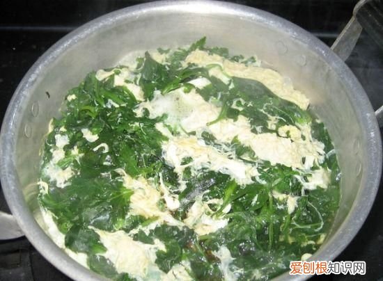 菊花脑怎么吃,菊花脑怎么种