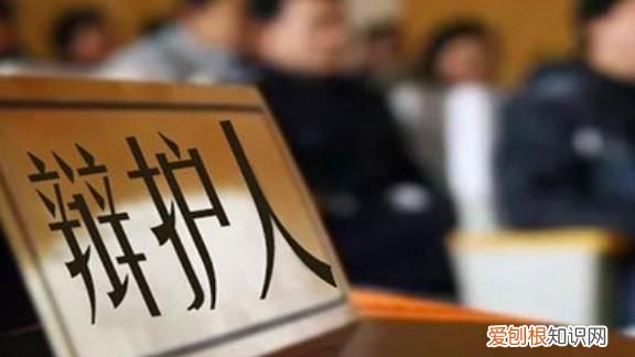 刑事诉讼法法定代理人是指的什么