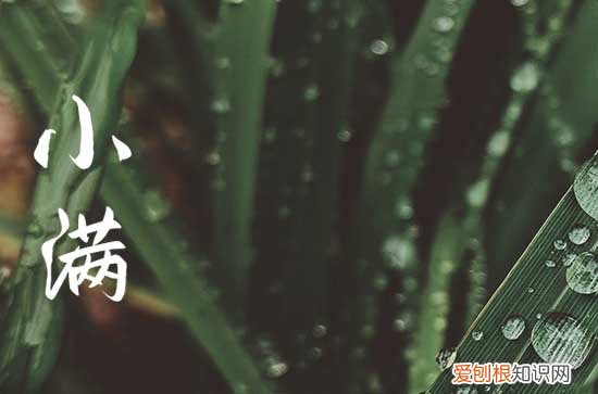 2022年小满是哪一天 小满习俗有哪些