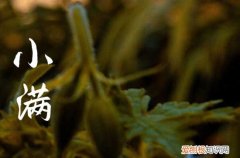 2023年小满是哪天 小满的习俗是什么