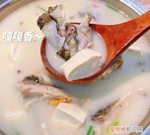 鲢鱼头豆腐汤做法,鱼头豆腐汤怎么做好吃又简单