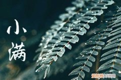 2023年小满是什么意思 小满的历史