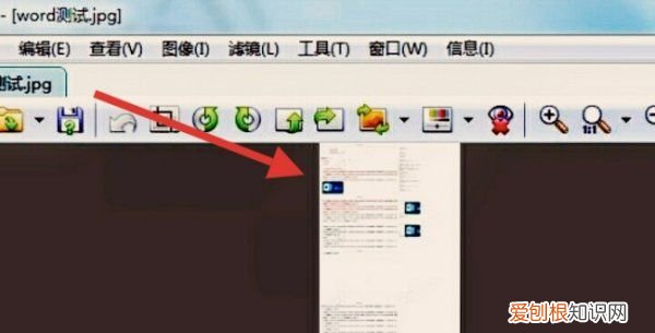 WORD：如何将文本变成，word文档怎么转换成jpg格式