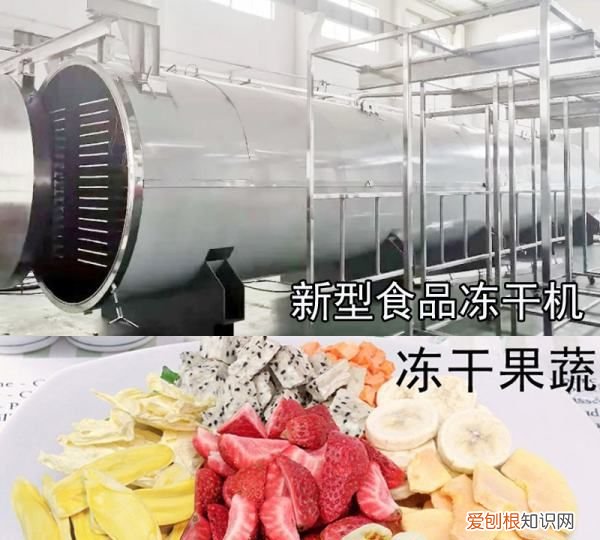 果蔬脆是油炸食品