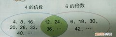 4的倍数有哪些数字，4的倍数和6的倍数和公倍数有哪些呢