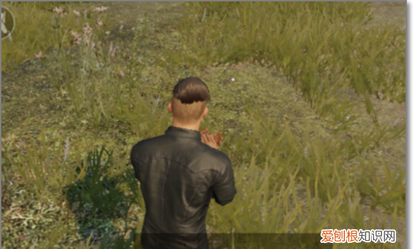 绝地求生刺激战场怎么下载，绝地生刺激战场怎么做跳舞手势