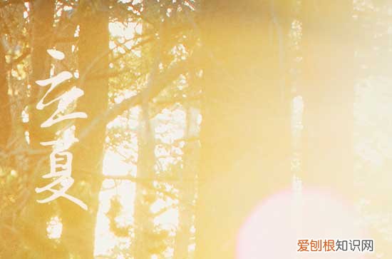 2023年立夏的特點(diǎn)有哪些 氣溫升高雨水增多