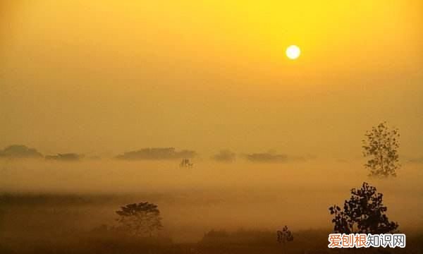 寒食帖是什么，研究蘇軾的行書筆意的目的是什么