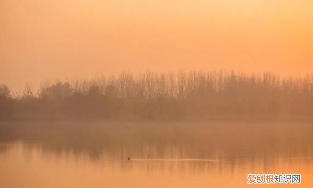 山雨欲来风满楼这首诗的内容 经典诗句山雨欲来风满楼解析