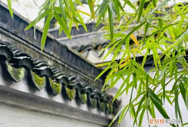 山雨欲来风满楼这首诗的内容 经典诗句山雨欲来风满楼解析