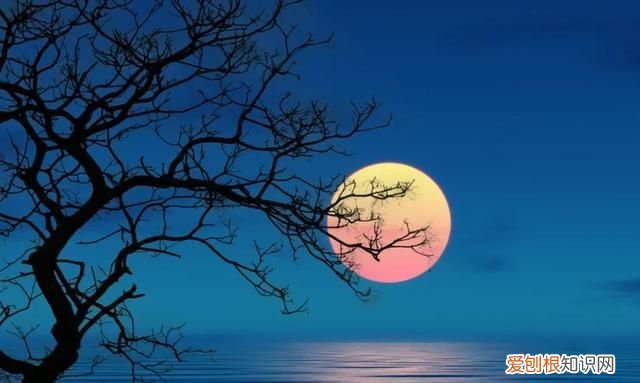 山雨欲来风满楼这首诗的内容 经典诗句山雨欲来风满楼解析