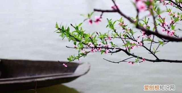 山雨欲来风满楼这首诗的内容 经典诗句山雨欲来风满楼解析