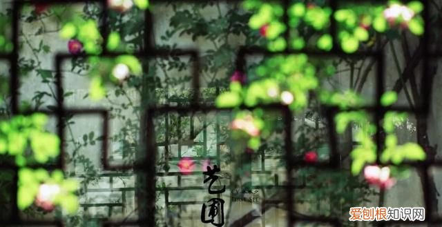 山雨欲来风满楼这首诗的内容 经典诗句山雨欲来风满楼解析