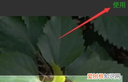 微信头像怎么设置比较好，微信头像怎么设置动态头像