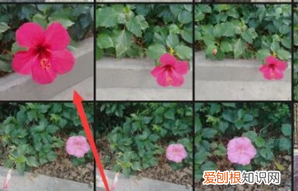 微信头像怎么设置比较好，微信头像怎么设置动态头像