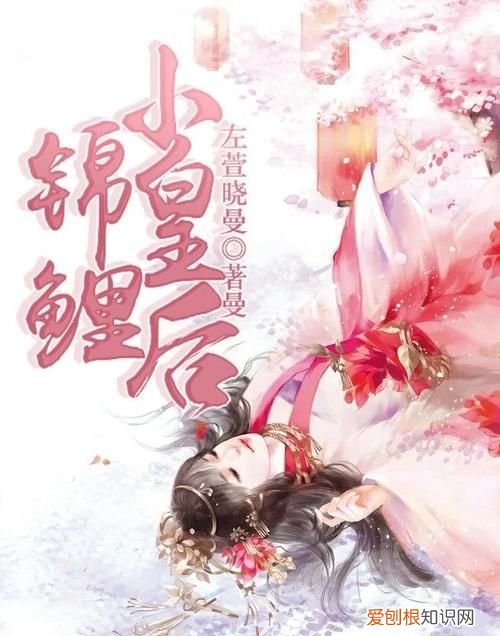 小锦鲤公主诞生是什么小说