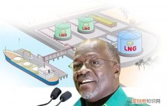 lng坦桑尼亚,坦桑尼亚lng项目