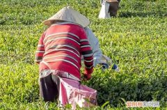 2023五一法定一天还是3天