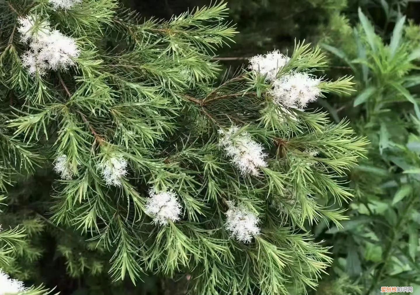 控油祛痘洗面奶哪个最好？