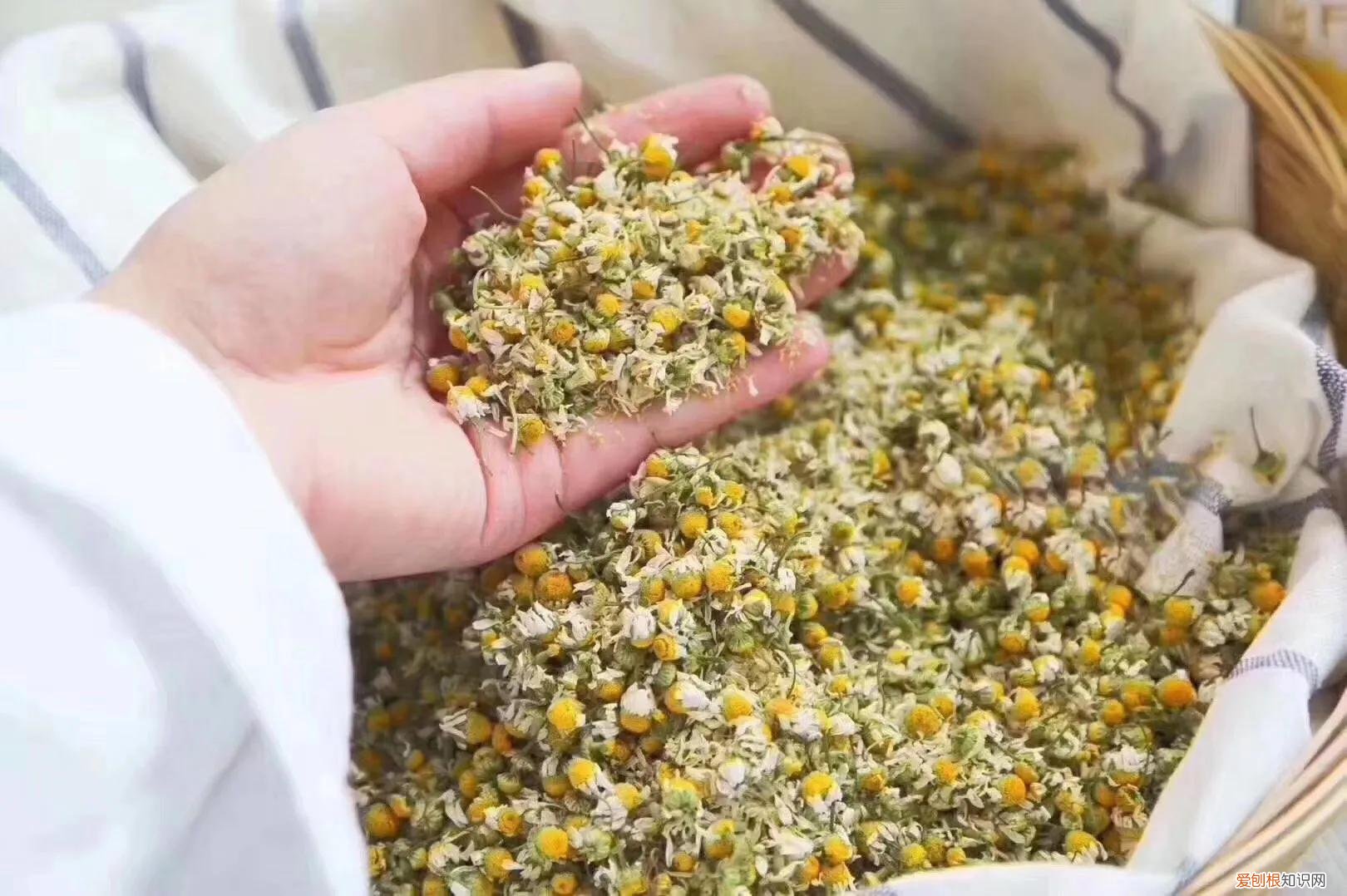 控油祛痘洗面奶哪个最好？