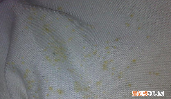 发霉的帽子怎么清洗，如何去除帽子上的霉斑