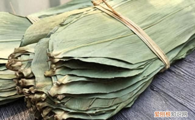 吃过粽子的粽叶还能用吗,吃过粽子的粽叶能再用吗