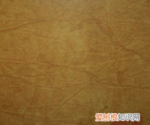 黄纸是什么，硬黄纸是什么色