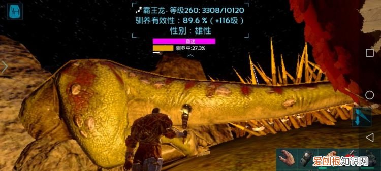 方舟秒驯药是什么,方舟里的秒训药有多快