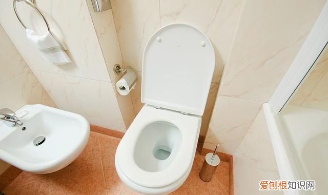 疏通马桶马桶堵了下不去水,马桶堵了怎么用马桶塞子快速疏通