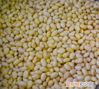 如何在家自制豆腐脑?有哪些技巧?