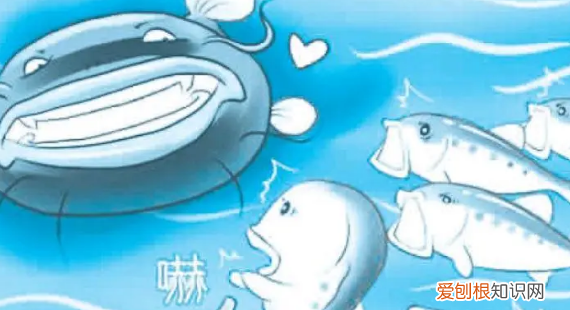 鲶鱼效应说明什么道理,鲇鱼效应告诉我们什么道理呢