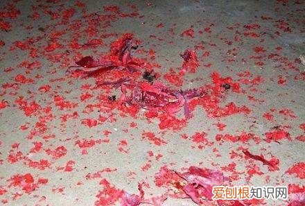 支客是什么意思,结婚之前请支是什么意思