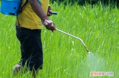 赞美劳动的正能量句子80句