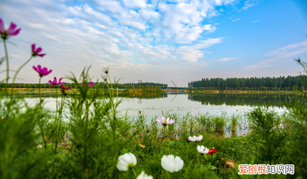 什么是BJ，边界感是什么意思?